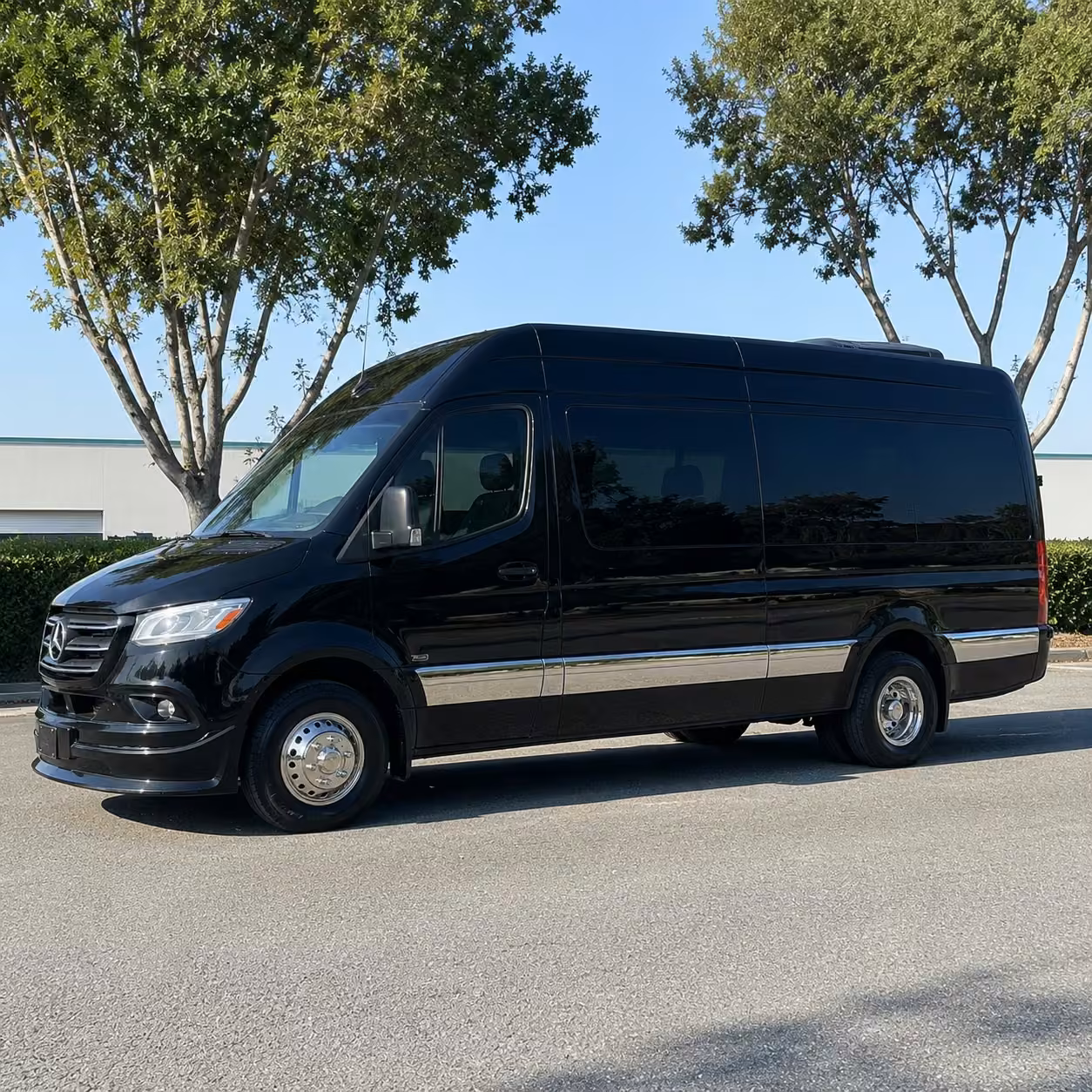 sprinter limo